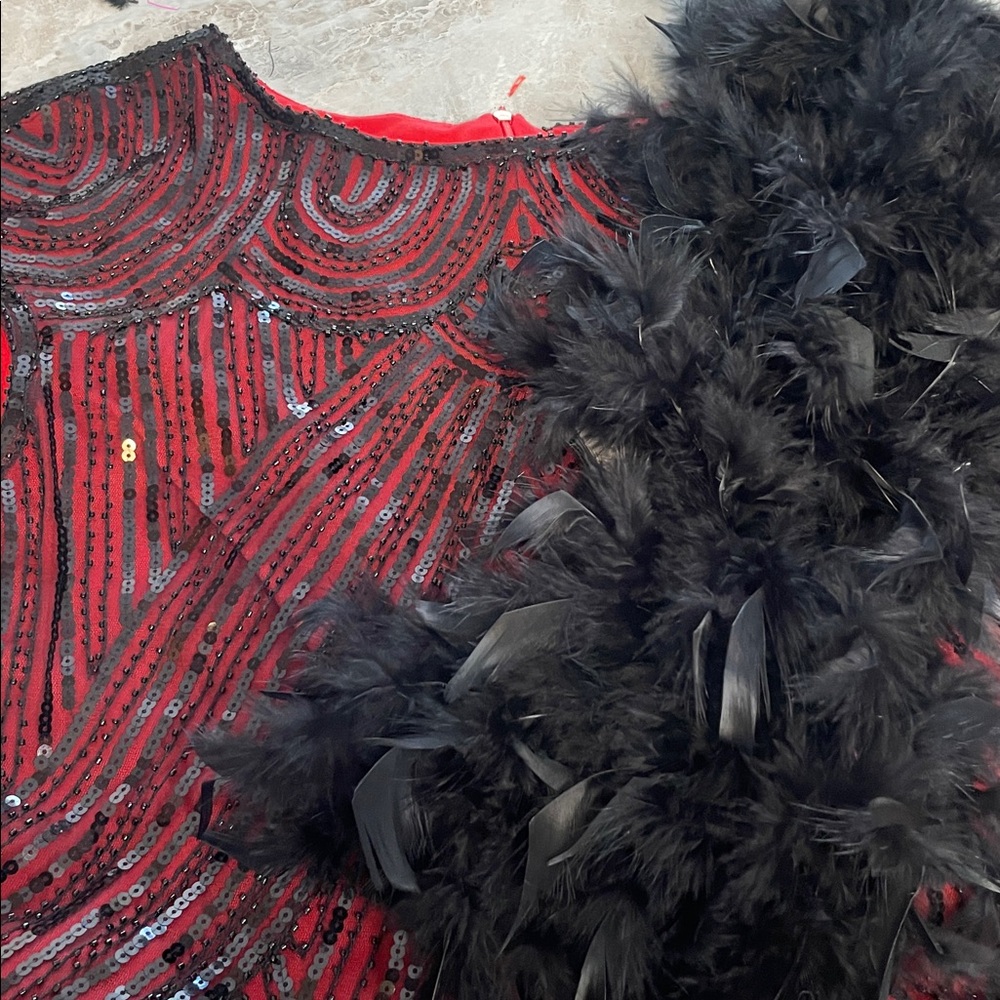 Flapper dress NWOT